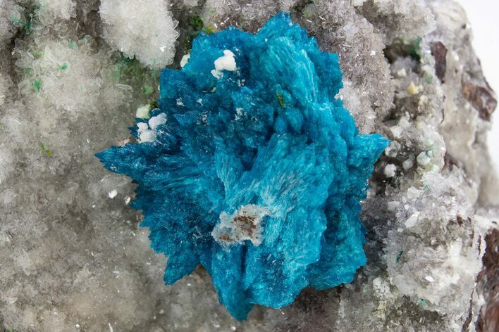 Vibrant Blue Cavansite Cluster on Stilbite - India #306058